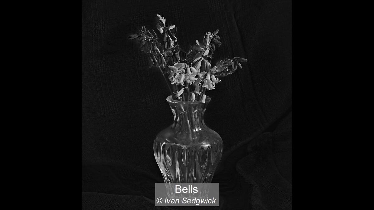 04_Bells_Ivan Sedgwick